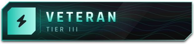 Veteran Member